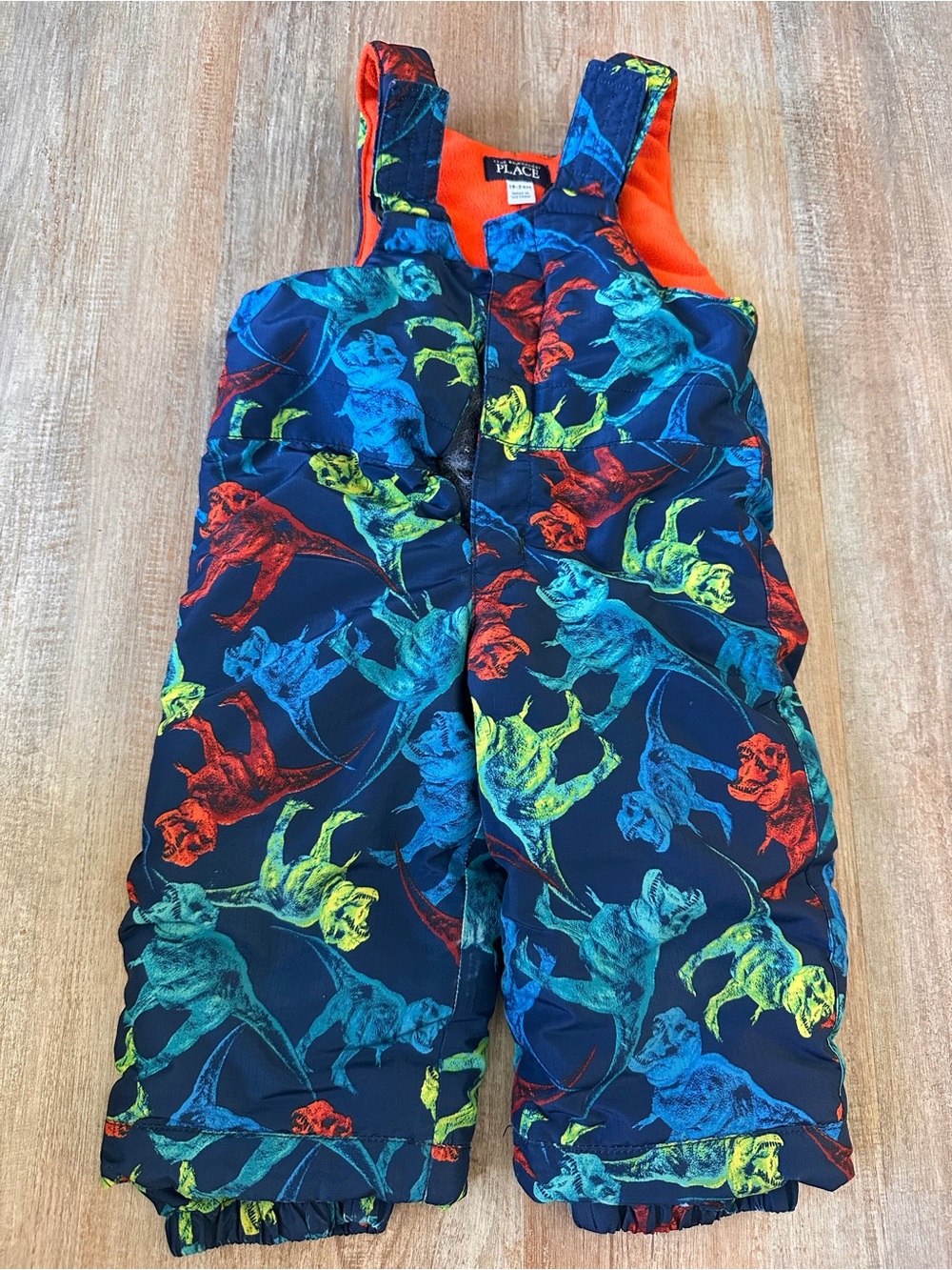 The Childrens Place Boys Navy Dinosaur Snow pants